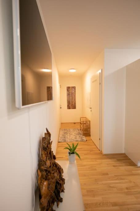 Schoenes Living Am Donauufer Wien Exterior foto